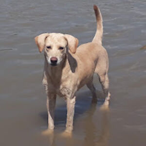 leyderhurtado avatar