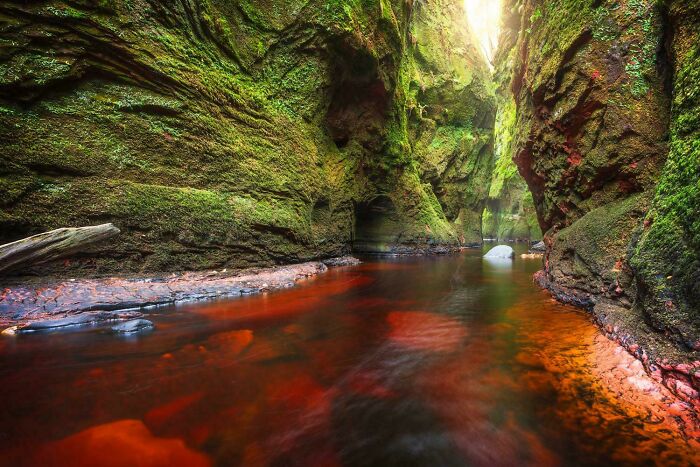 Moss-covered canyon walls with a red-hued river flowing through, showcasing rare natural phenomena in a serene setting.