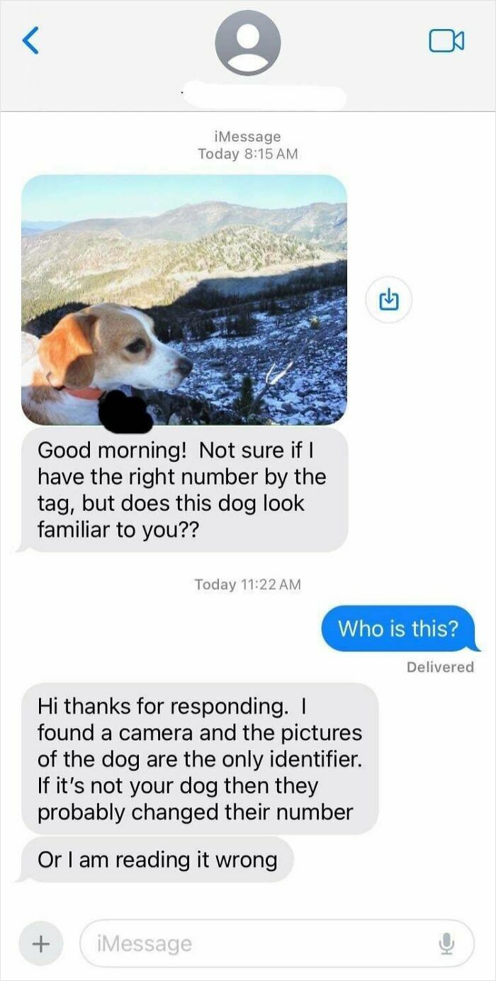 Text message conversation where people share found photos of a dog to identify its owner.