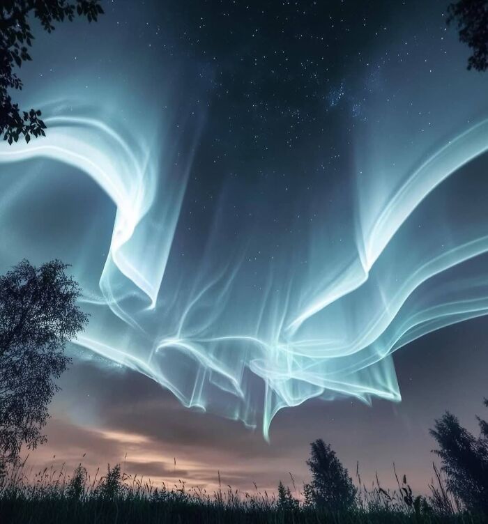 Aurora borealis creating stunning light waves in the night sky, capturing rare natural phenomena above a forest.