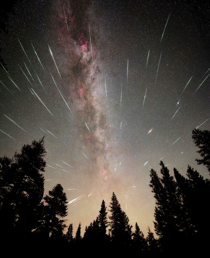 Meteor shower streaks across a star-filled night sky above silhouetted trees, showcasing rare natural phenomena in nature.