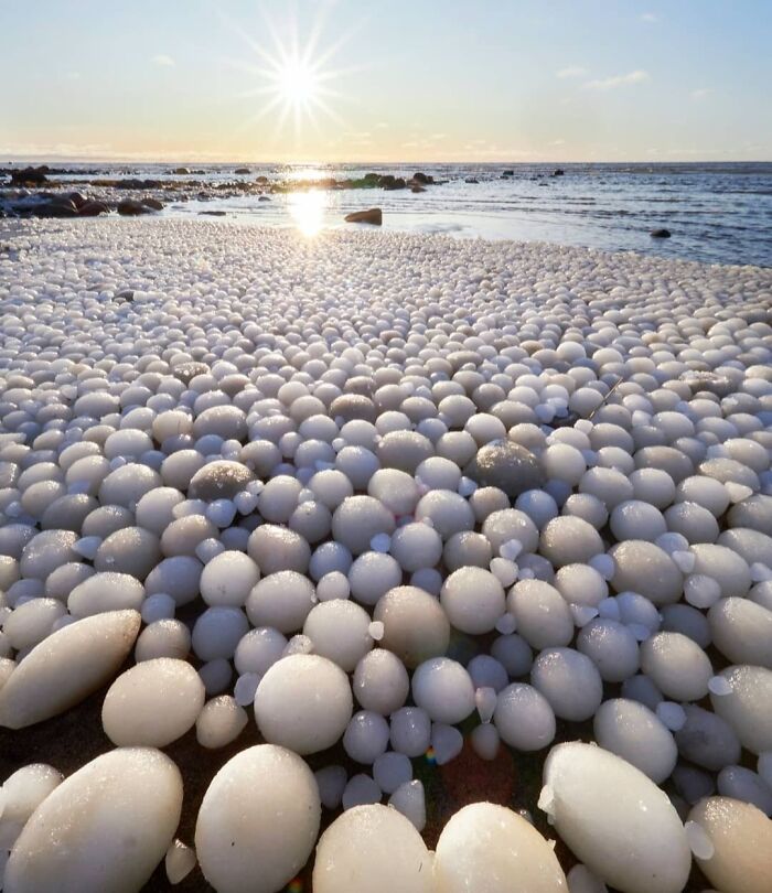 Round ice balls cover a beach shore under the sun, showcasing a rare natural phenomena along the water's edge.