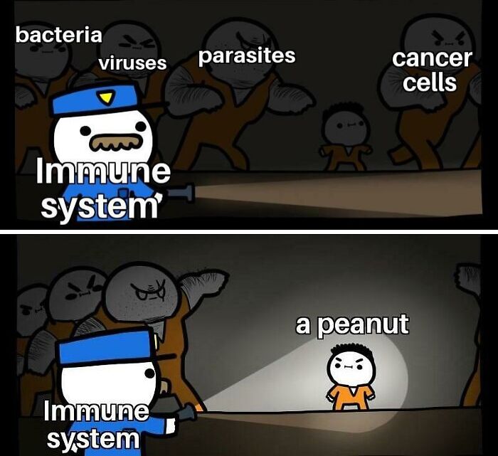 Immune system cartoon struggling with bacteria, viruses, parasites, cancer cells, but alarmed by a peanut allergy meme.