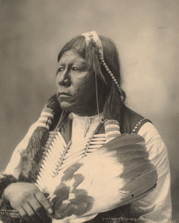 Portrait of Native American man wearing traditional attire with feathers and beadwork, showcasing powerful heritage and culture.
