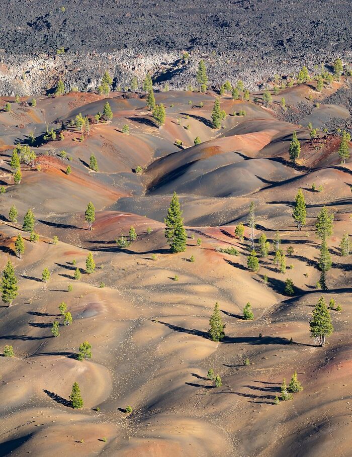 Aerial view of rare natural phenomena showing colorful volcanic ash hills with scattered green trees under sunlight.