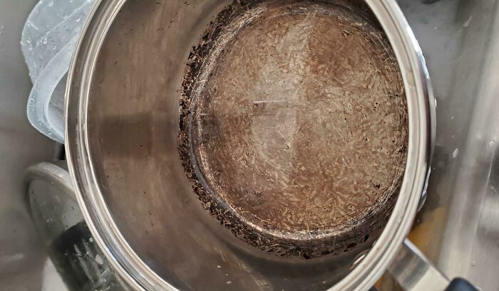 Close-up of a pot covered in numerous small black ants, showing an unlucky parenting moment.