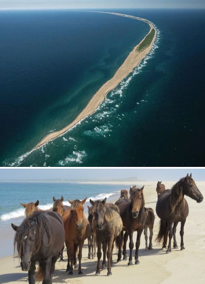 Aerial view of a narrow island and a group of wild horses on the beach, showing unusual and wonderful natural sights.