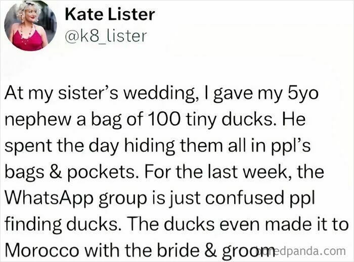 Screenshot of a chaotic good tweet about hiding tiny ducks at a wedding, causing playful confusion among guests.