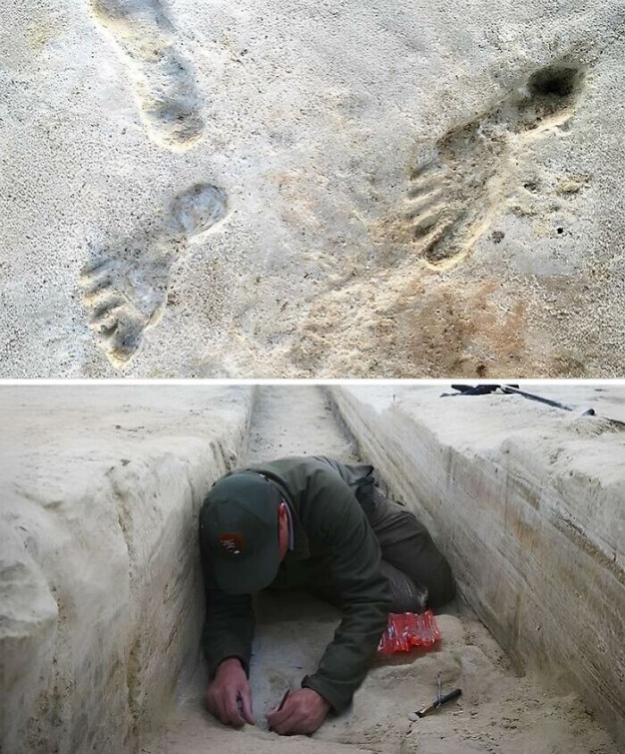 Ancient history footprints fossilized in stone above an archaeologist carefully excavating a trench site.