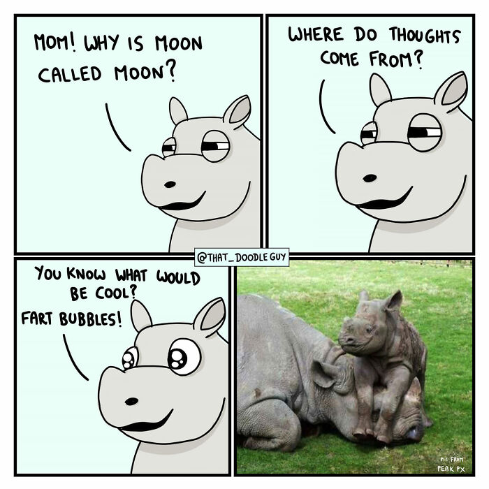 Cute animal comic panel featuring a cartoon rhino asking funny questions, paired with a photo of two resting rhinos.