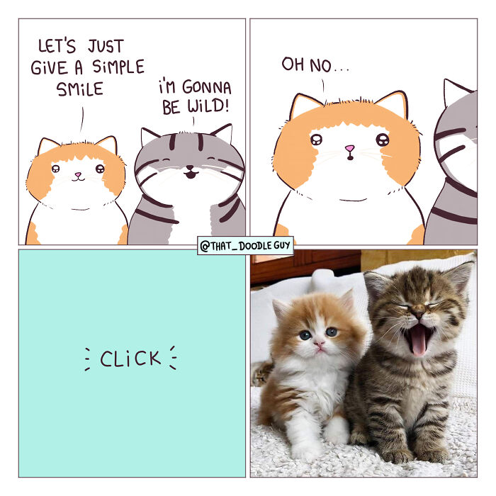 Cute animal comic featuring two cats with a playful dialogue, paired with a photo of adorable kittens.