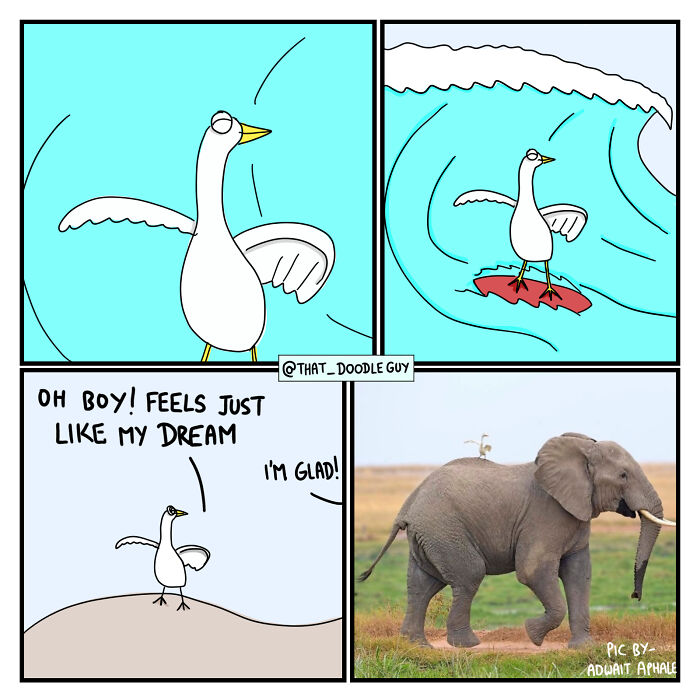 Cute animal comic featuring a happy bird surfing and dreaming, part of ridiculously cute animal comics by Divyansh Sikka.