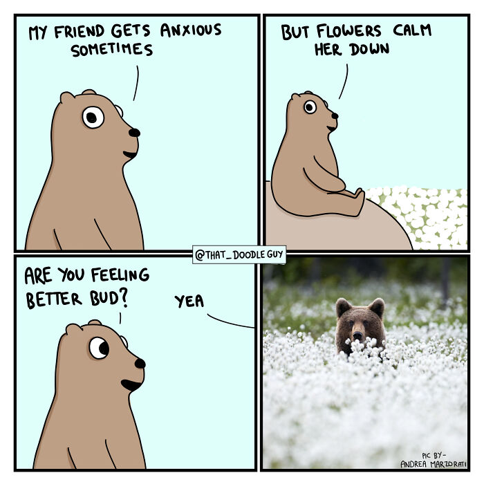 Cute animal comic panels featuring a bear calming anxiety with flowers paired with a real bear photo in a flower field.