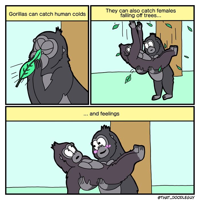 Cute animal comic showing gorillas catching colds, falling, and sharing feelings in a heartwarming cartoon style.