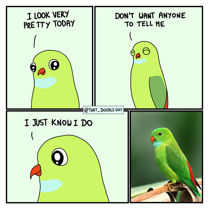 Cute animal comic featuring a green parrot expressing confidence, part of ridiculously cute animal comics by Divyansh Sikka.