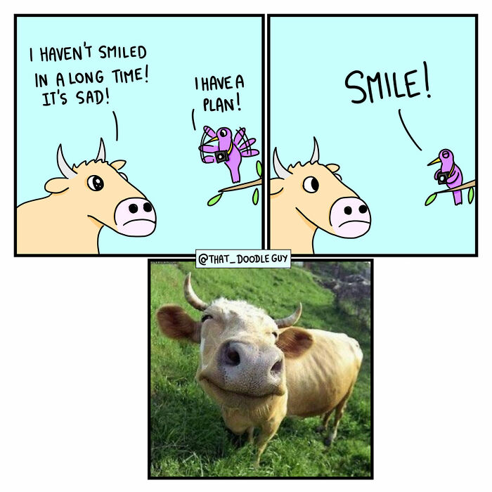 Cute animal comic by Divyansh Sikka featuring a smiling cow and a bird encouraging it to smile.