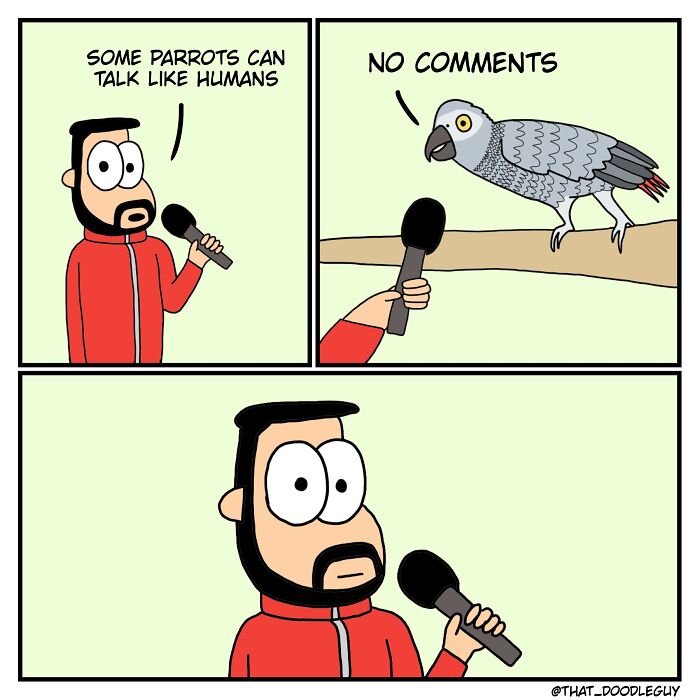 Comic strip of a man interviewing a parrot, showcasing cute animal comics by Divyansh Sikka with humorous interaction.