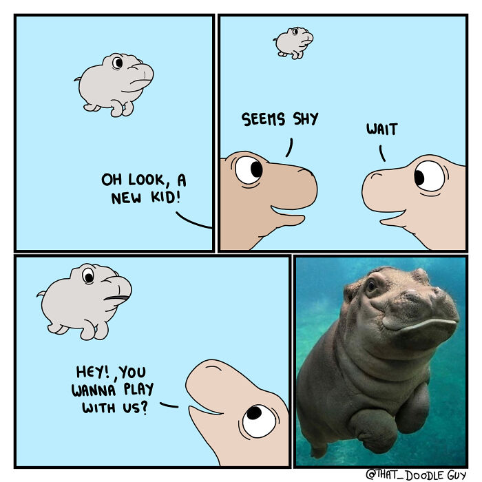 Cute animal comic featuring playful hippos illustrated and photographed, showcasing adorable moments in a heartwarming style.