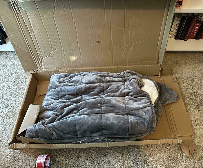 Soft gray blanket inside a large cardboard box, showing a hilariously unlucky parent moment with packaging fail.