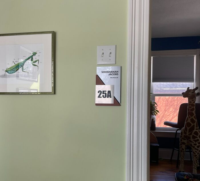 Interior office scene with a professor's nameplate on the wall and a framed praying mantis illustration, work-from-home vibe.