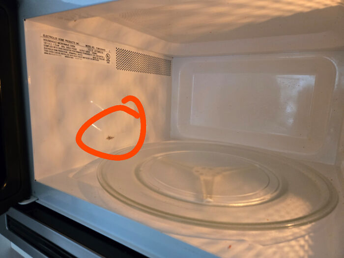 Close-up of a microwave interior with a bug inside, highlighting a hilariously unlucky parenting moment.