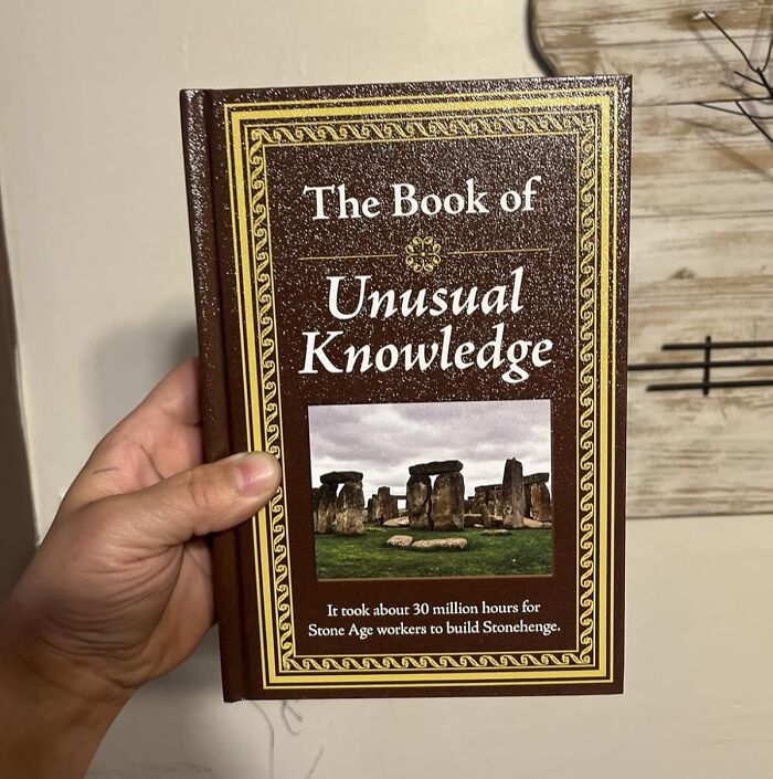 Hand holding The Book of Unusual Knowledge, a unique Father's Day gift idea for curious and thoughtful dads.