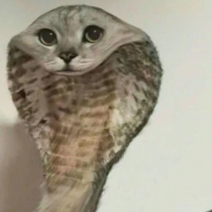 A hilarious animal with a goblin mode expression, featuring a cobra body and a cat-like face in a funny pose.