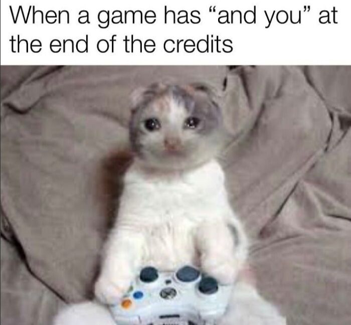 Cute cat holding game controller with a sarcastic caption, perfect for memes about speaking fluent sarcasm and humor.