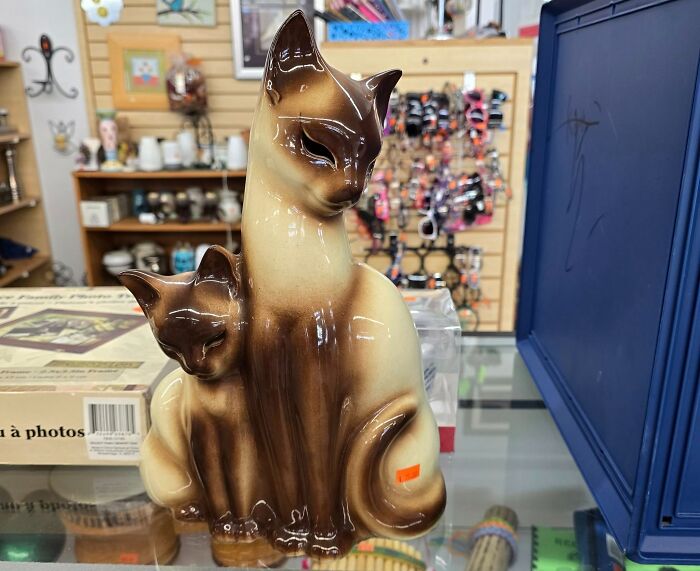 Ceramic vintage cat figurines thrifted, showcasing unusual and wonderful thrifted finds in a museum-like setting.