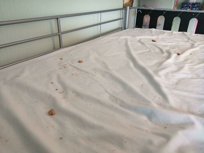 Bed with cookie crumbs scattered on white sheet, showing the mess unlucky parents often face in daily life.