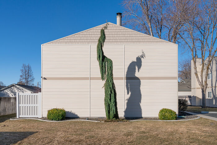 It Hastens From The Light From The Series "Seeing Things" By John Francis