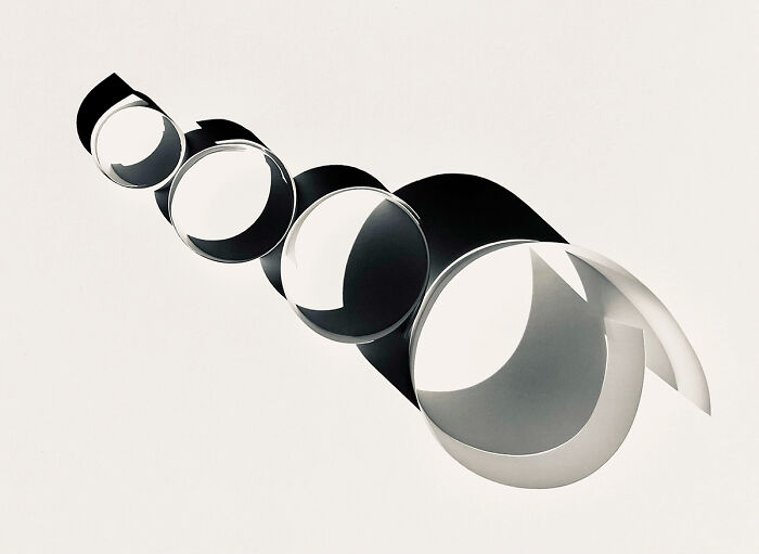 Roller From The Series "Paper Shadows (Things Are Not Always What They Seem)'" By Maxine Harraway