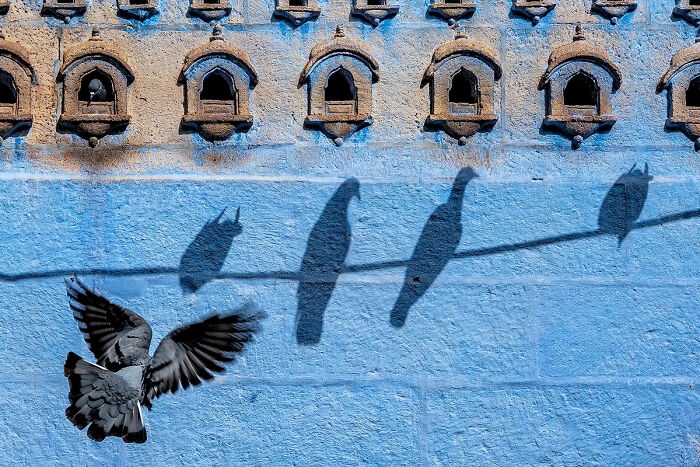 Shadows Of Flight By Saurabh Sirohiya