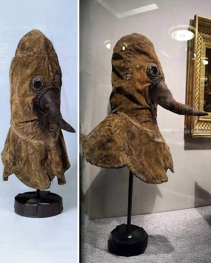 Ancient history plague doctor mask with long beak and round eyeholes displayed on a stand in a museum setting