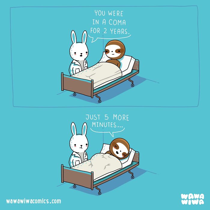 Cute wawawiwa comics showing a bunny doctor telling a sloth patient in bed they were in a coma for 2 years.