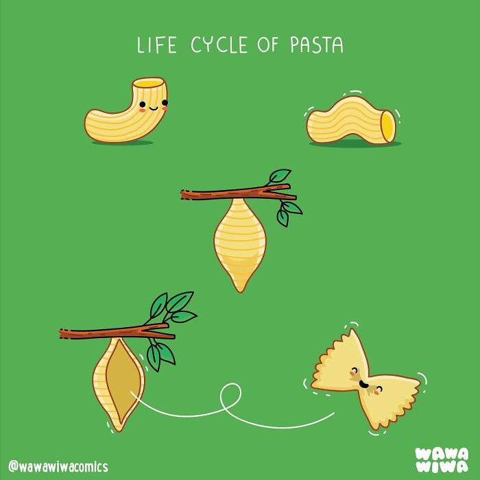 Cute Wawawiwa comic showing the life cycle of pasta with lovable animated pasta characters on green background.
