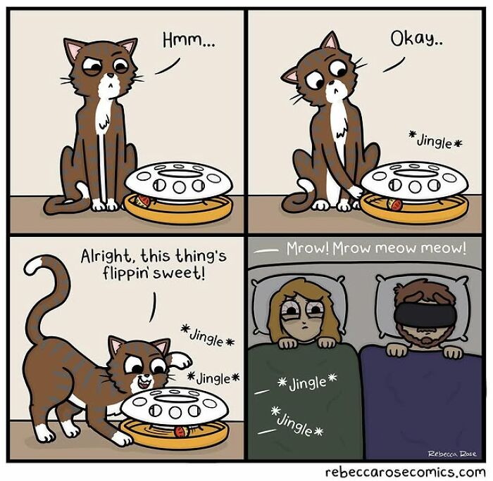 Cartoon cat playing with toy, highlighting everyday awkwardness in a hilariously relatable comic by the cartoonist.