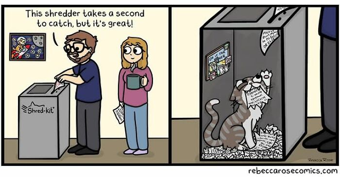 Comic strip showing a man shredding papers while a cat plays with shredded bits, depicting everyday awkwardness humor.