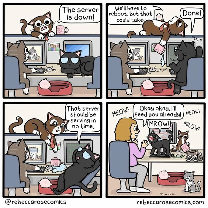 Cartoonist creates hilarious relatable comic about everyday awkwardness featuring cats and tech support humor.