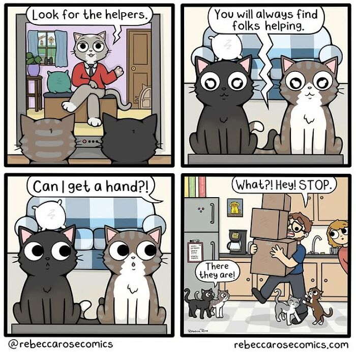 Cartoon strip by Rebecca Rose showing cats turning everyday awkwardness into relatable comic moments.