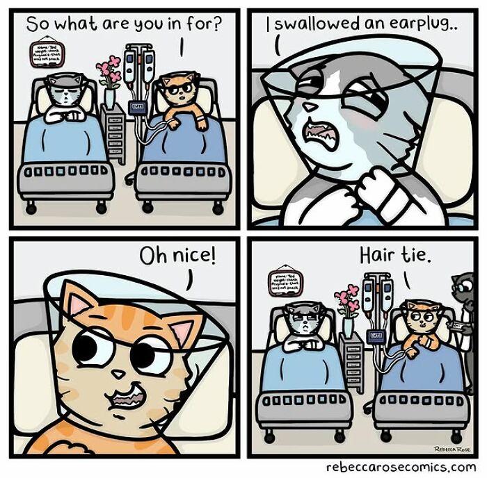 Cartoonist's comic of cats in hospital beds humorously portraying everyday awkwardness with relatable dialogue and expressions.