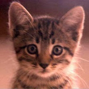 richardsteandricricsteand avatar