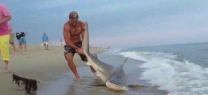 Man wrestling bull shark on beach to save nephew showing chaotic good acts with best intentions.