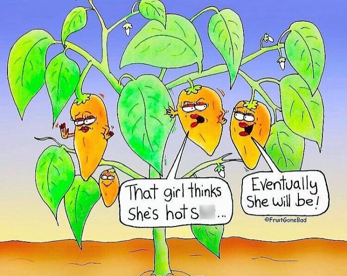 Cartoon of spicy peppers with faces delivering punchlines in the Fruit Gone Bad series featuring produce humor and laughs.