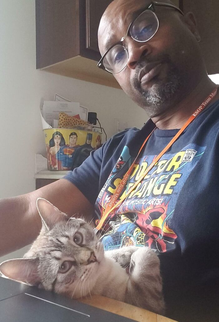 Man wearing glasses and a comic book t-shirt working from home with a cat on his lap, a funny work-from-home scene.
