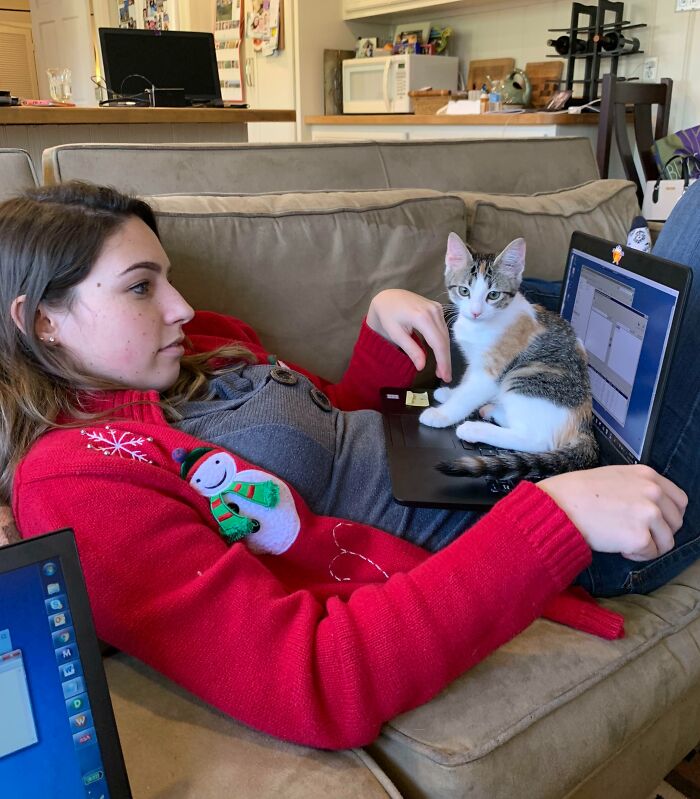 Woman in a red sweater working on a laptop with a cat sitting on the keyboard, illustrating funny work-from-home moments.