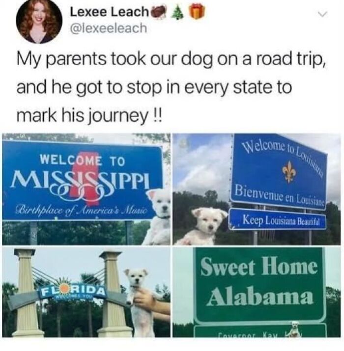 Small white dog posing by state welcome signs during a road trip for wholesome doggo memes and pupper content.