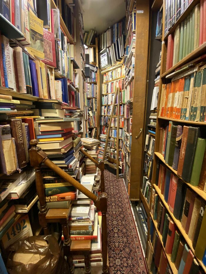 Narrow, cosy library aisle packed with towering shelves of books and a ladder in a grandiose and magical bookstore setting.