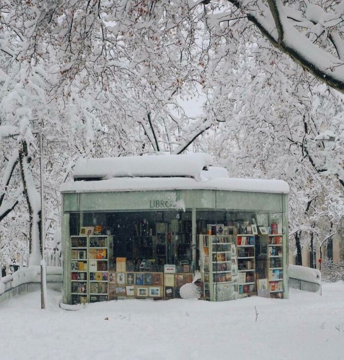 Snow-covered bookstore kiosk surrounded by trees, showcasing one of the most stunning and impressive bookstores and libraries.