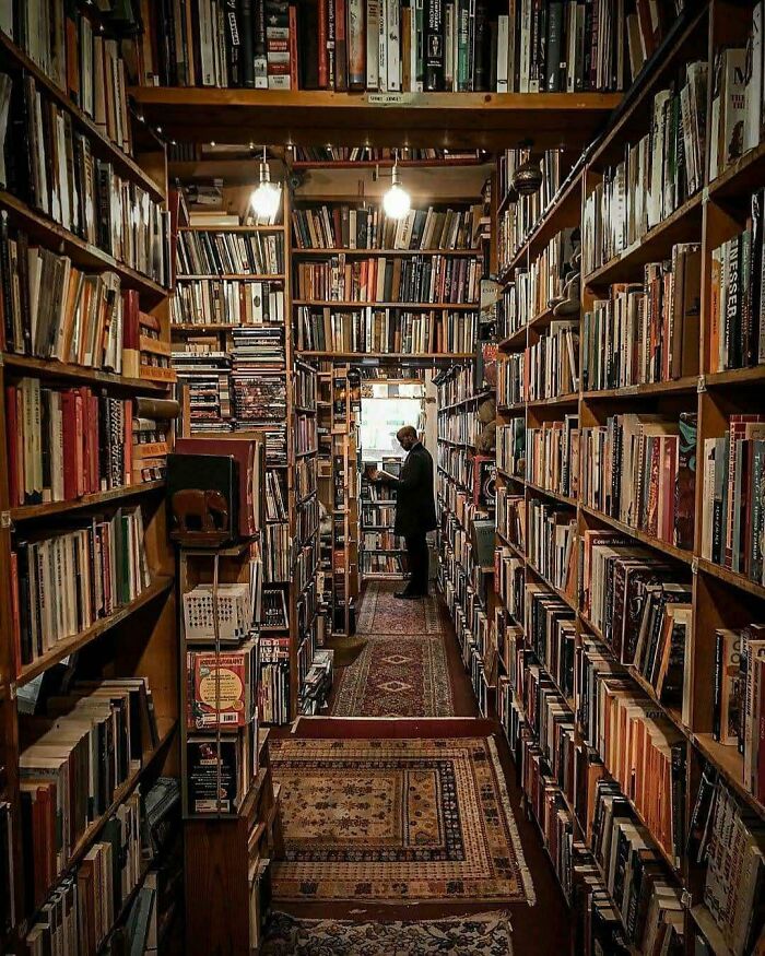 Cozy aisle in a stunning bookstore filled with towering shelves and a person browsing among countless books.